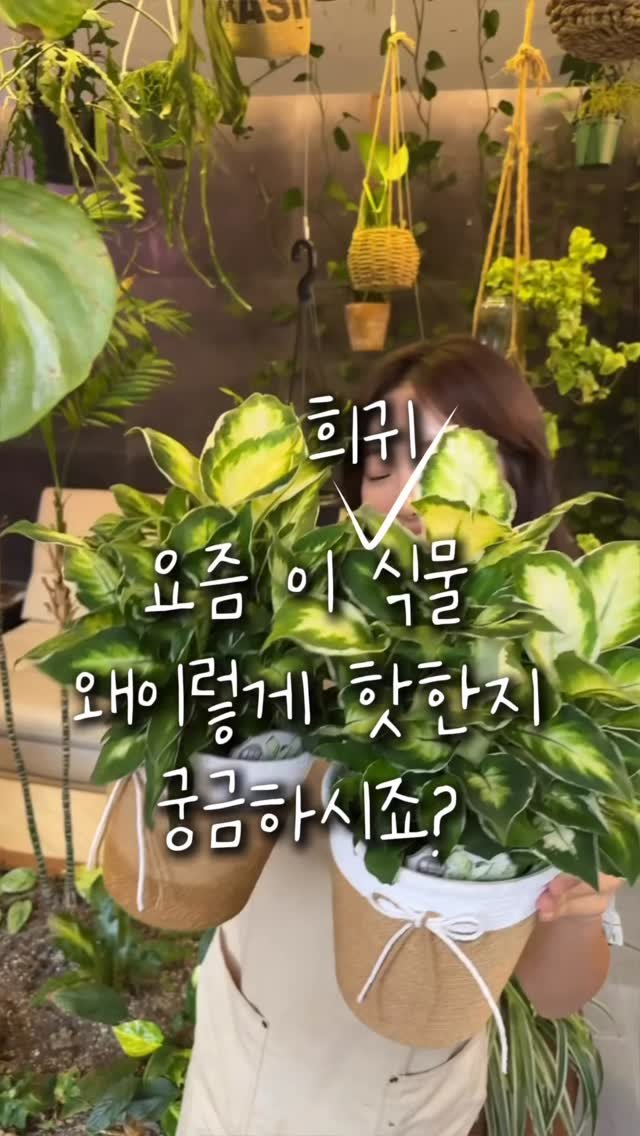 cottage_the_vert_gardengirl 게시물 이미지: 💌댓글에 “대박” 남겨주세요
(아래 나눔이벤트 있으니 끝까지 읽어주세요💕)

이...