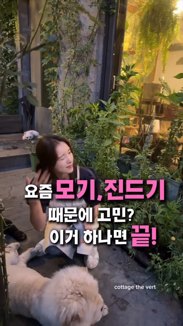 cottage_the_vert_gardengirl 게시물 이미지: 💌댓글에 ‘모기’ 남겨주세요

모기,진드기 기피제! 버그콘트롤
💜최저가 공동구매...