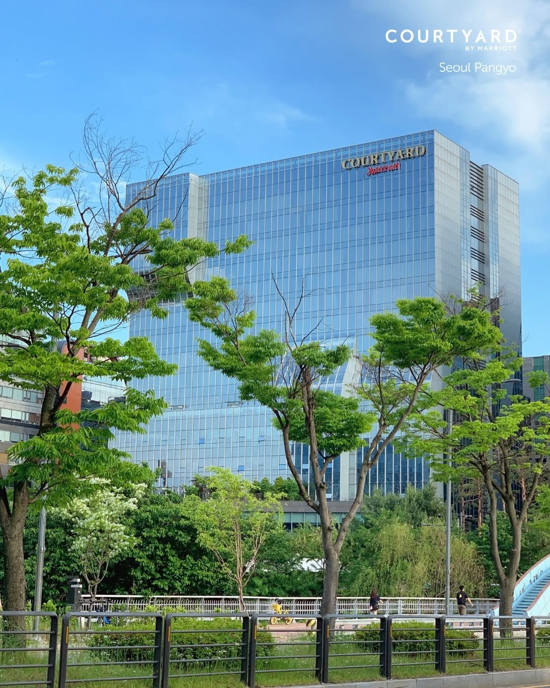 courtyardpangyo 게시물 이미지: 어느새 초여름의 공기가 스며든 요즘.
짙어진 초록과 초여름의 햇살이
더욱 기분 좋은...