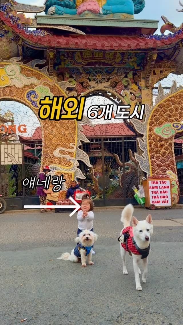 cr.db_chomangkie 게시물 이미지: 💵 돈주고 시간사기 #내돈내산

강아지와 조카까지 베트남 장기체류
여행준비하면서...