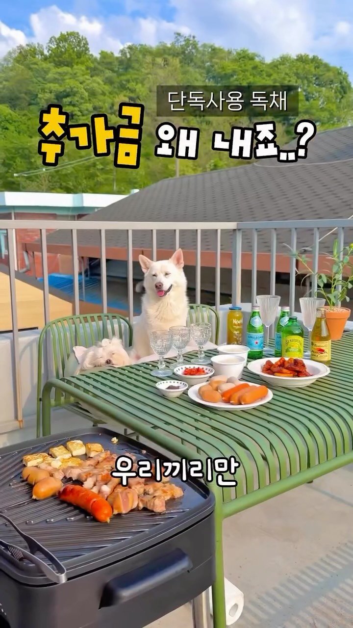 cr.db_chomangkie 게시물 이미지: 🔥 여기선 지긋지긋한 추가금 그만 *광고

3층 규모를 하루 한팀이 단독...