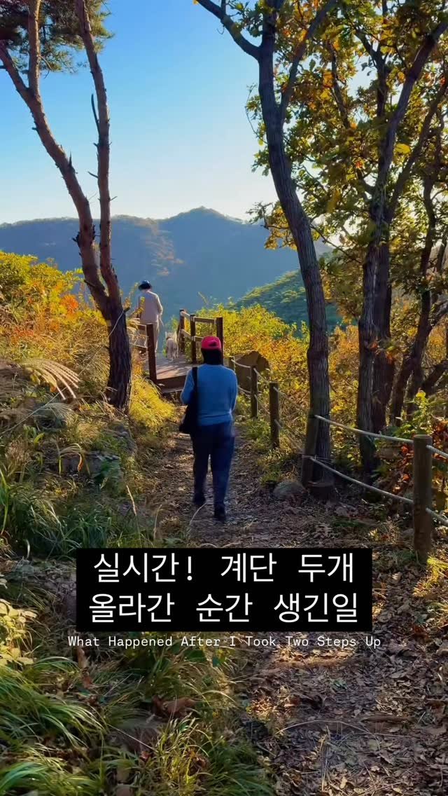 cr.db_chomangkie 게시물 이미지: 해외아님 ❌ 운 다 끌어써야 볼수 있는 국내…

인스타에 애견동반 후기 1도 없는...