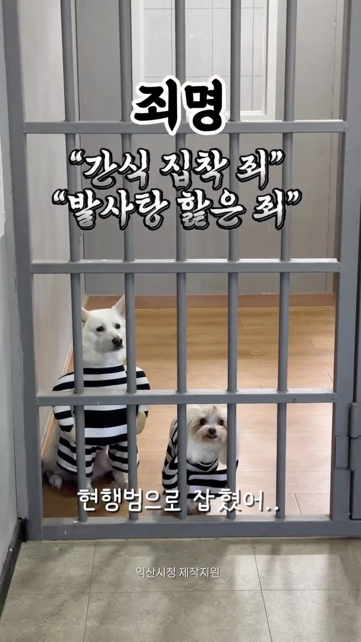 cr.db_chomangkie 게시물 이미지: 👮 7번방의 선물 촬영지 ‼️ #제작지원
(인스타 오류로 재업로드 ㅠㅠㅠ...