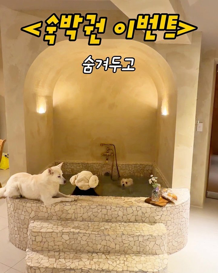cr.db_chomangkie 게시물 이미지: 🏕️ 성수기 감성 풀빌라 <무료 숙박 이벤트>

✨역대급 동화 같은 비주얼에...