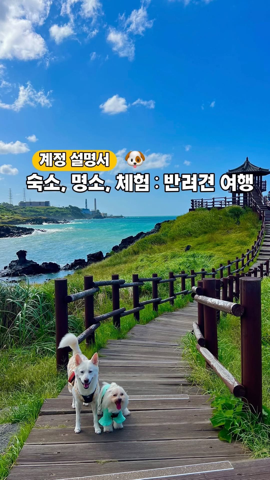 cr.db_chomangkie 게시물 이미지: 📩 숨겨뒀던 정보 모음집 공유
🔻이벤트는 본문 하단 참고🔻
#고정댓글확인

-
아기...