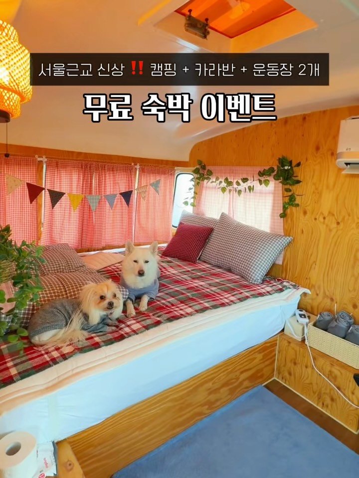 cr.db_chomangkie 게시물 이미지: 🏕️ 서울근교 글램핑장 <무료 숙박 이벤트>

✨ 새로 오픈한 초신상이라 모든...