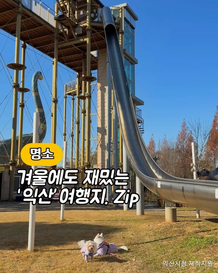 cr.db_chomangkie 게시물 이미지: 댕댕이랑 다녀온12월 <익산 여행지 모음집> ...