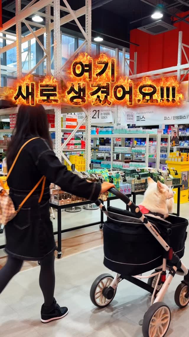 cr.db_chomangkie 게시물 이미지: 📌새로생겼어요! 빨리 가야해요 #광고

⎯⎯⎯⎯⎯⎯⎯⎯⎯⎯⎯⎯⎯⎯⎯⎯⎯⎯⎯⎯
💌...