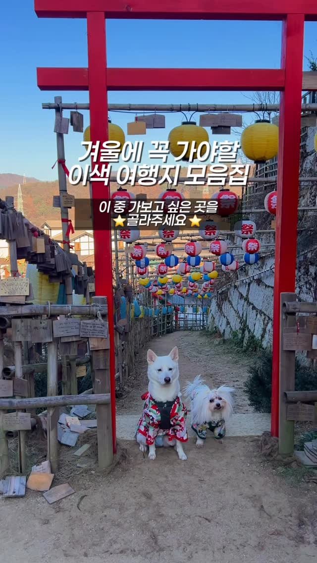 cr.db_chomangkie 게시물 이미지: 🚨 서울 사람들~ 겨울에 딱 이대로만 가면 됨!
서울 + 수도권 재미있는곳만 싹...