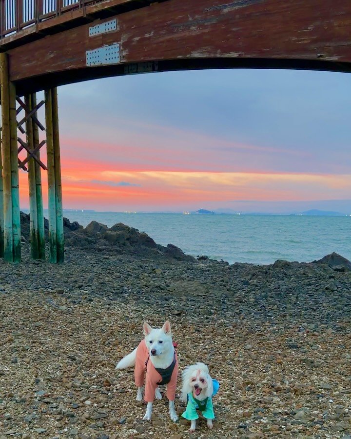 cr.db_chomangkie 게시물 이미지: 주말에도 사람없는! 서울근교 섬안에 섬 #제작지원

돈 한푼 안내고 이런 노을 봐도...