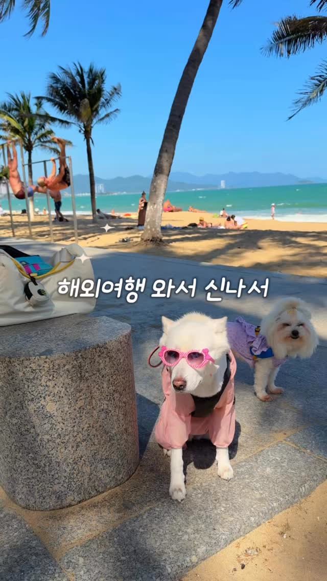 cr.db_chomangkie 게시물 이미지: 🔊 화장실 몇번 바뀌었게요? #광고

여행 다닐때마다 가지고 다니는 필수템...