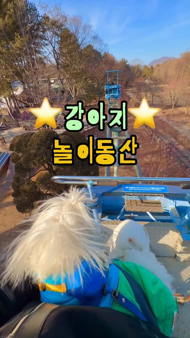 cr.db_chomangkie 게시물 이미지: 🎢 놀게 이렇게 많다고? #광고
한겨울에 <반려견 야외테이블 가능>이 왠말😡

🐶...