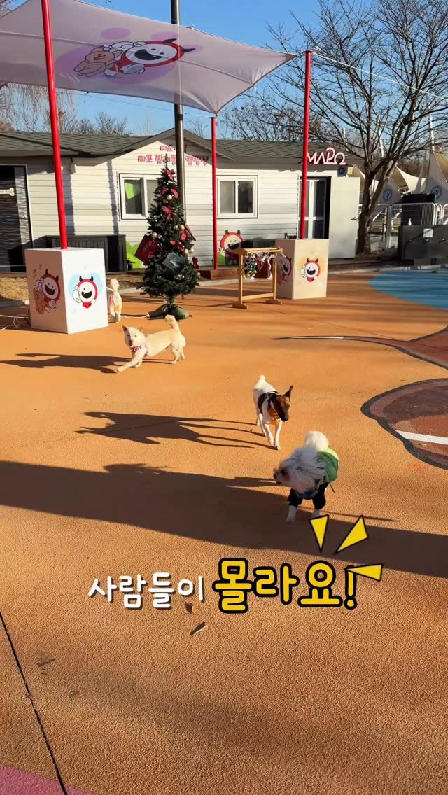 cr.db_chomangkie 게시물 이미지: 🎅🏻 내일(23일)이 제일 재밌을 예정 ‼️
곳곳이 트리로 꾸며진 한강뷰...
