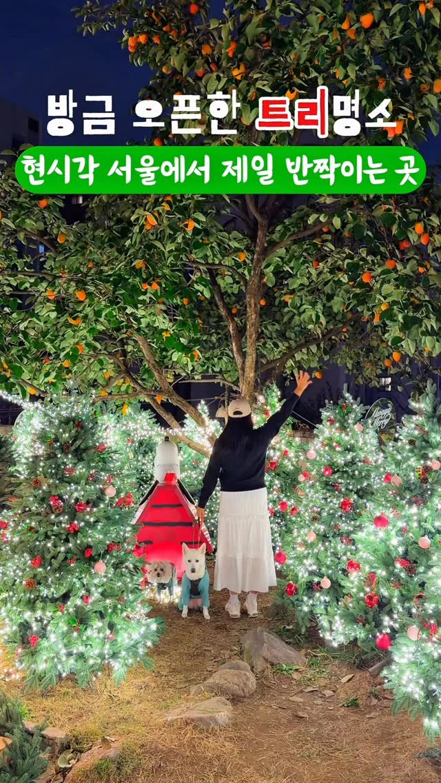 cr.db_chomangkie 게시물 이미지: 🔻방금 가오픈! 100원 입장 빠르게...