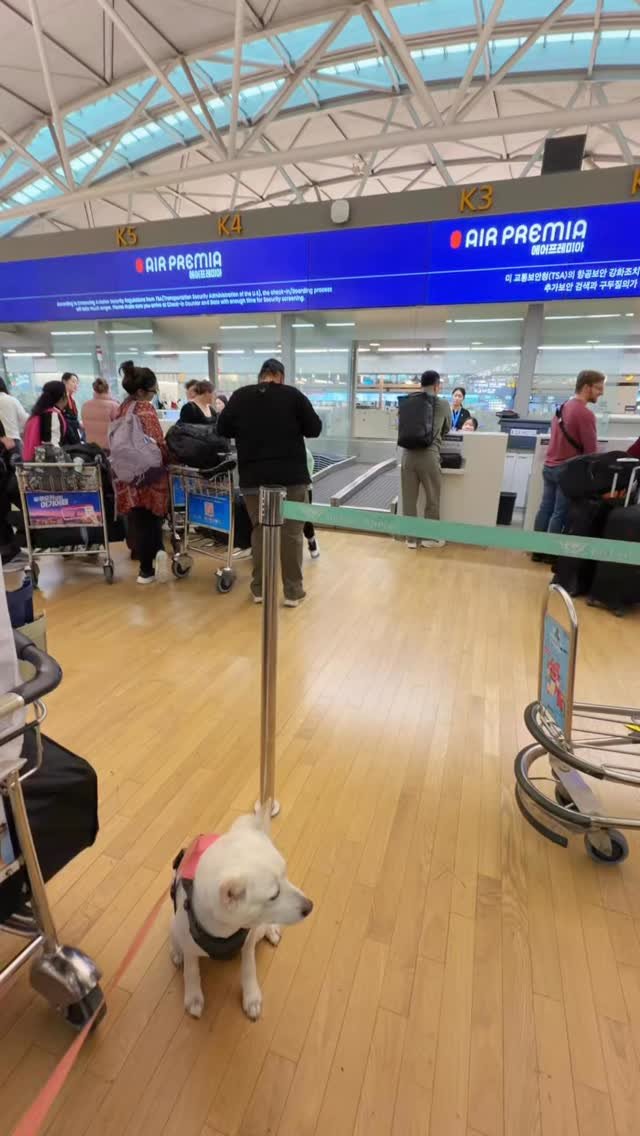 cr.db_chomangkie 게시물 이미지: 이건 고작 개미 똥만한 난이도 였다고

진짜 이미 릴스 100개 각나왔는데.....