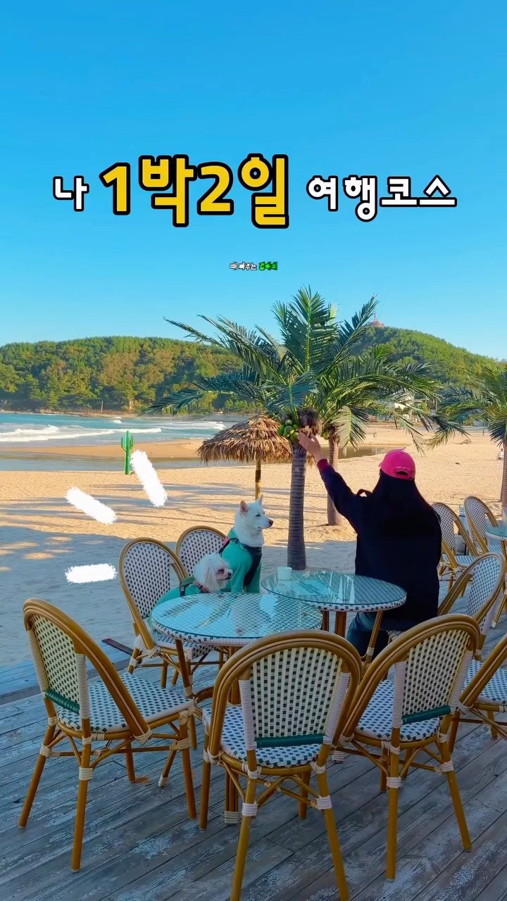 cr.db_chomangkie 게시물 이미지: ⭐️ 이번주 어디갈지 고민 끝! #제작지원

🌊 강원도는 여름에만 간다? 노노...