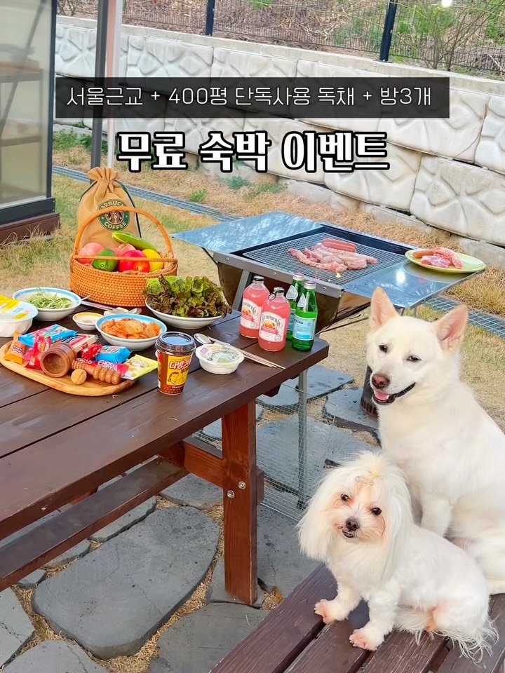 cr.db_chomangkie 게시물 이미지: ⭐️ 서울근교 전견종 감성 풀빌라 <무료 초대 이벤트>

400평 독채를 하루한팀...