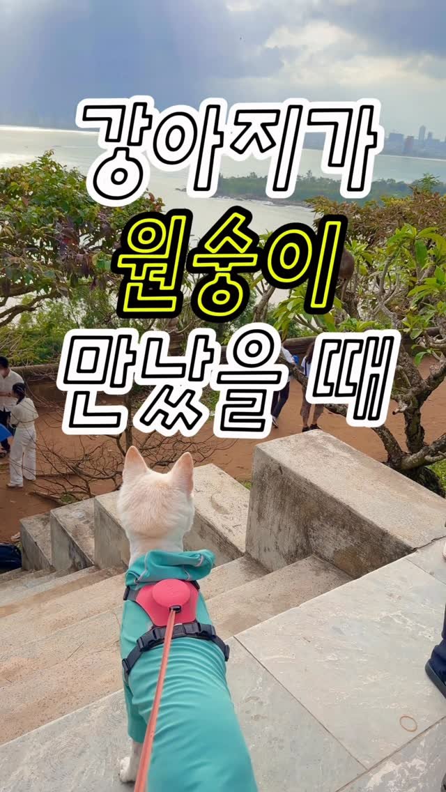 cr.db_chomangkie 게시물 이미지: ✨ 지금 1인 3만원대 ~ 코스 실화 ‼...