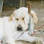 min_h.ee 프로필 사진