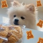 ggungdi_baking 프로필 사진