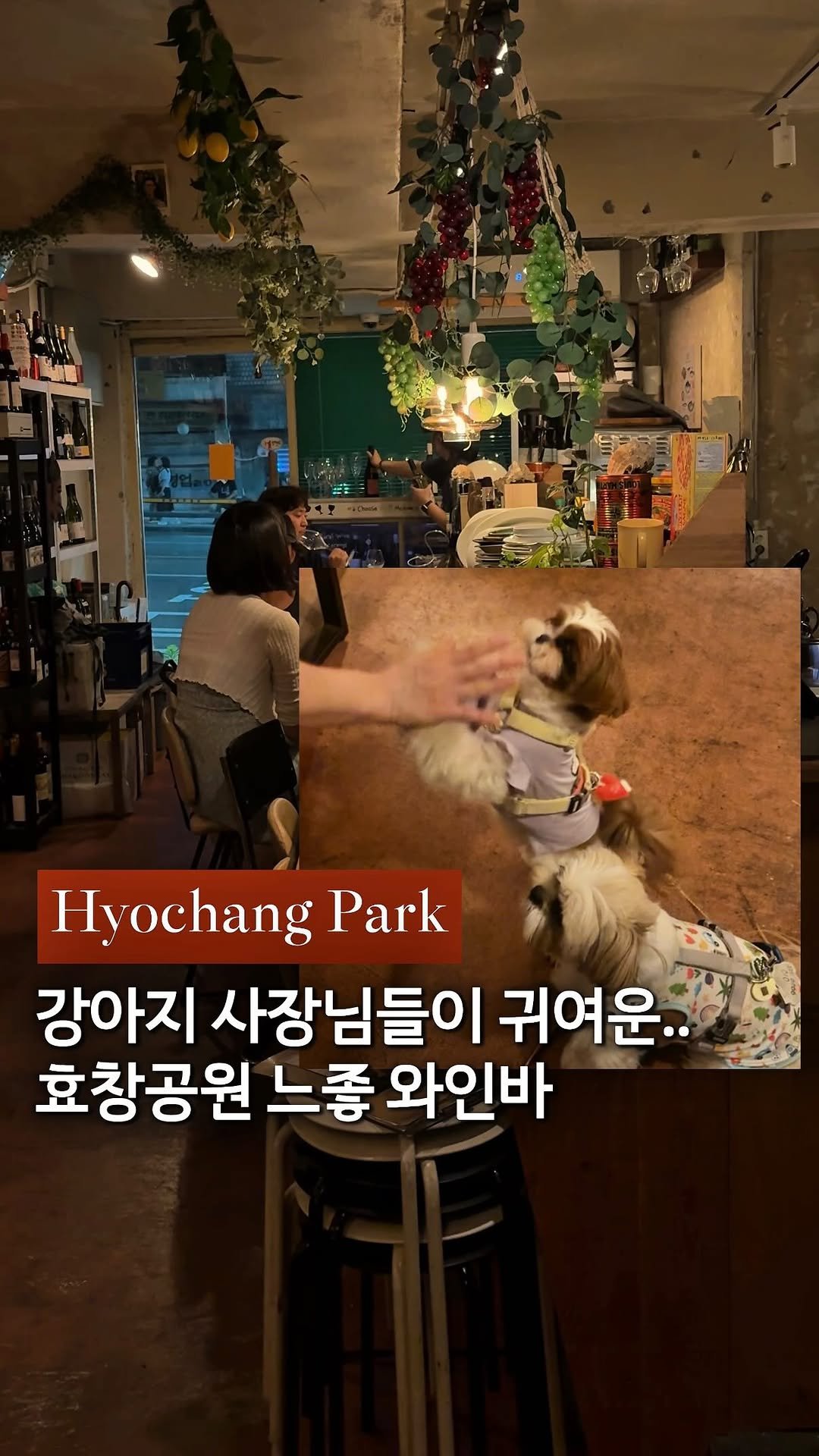 cream_matzip 게시물 이미지: 저장🐶 나만 알고 싶은 아지트 와인바.•💗

여기 진짜 진짜 맛있고…
와인리스트도...