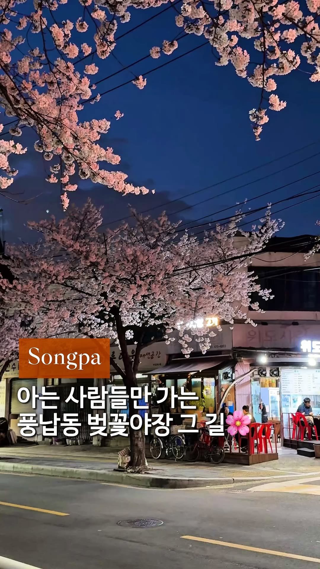 cream_matzip 게시물 이미지: 저는 올해 성북천 말고, 잠실에서 10분 여기요..🌸🍺
벚꽃🌸 + 삼겸살🥓 +...