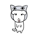 nooheaj.j 프로필 사진