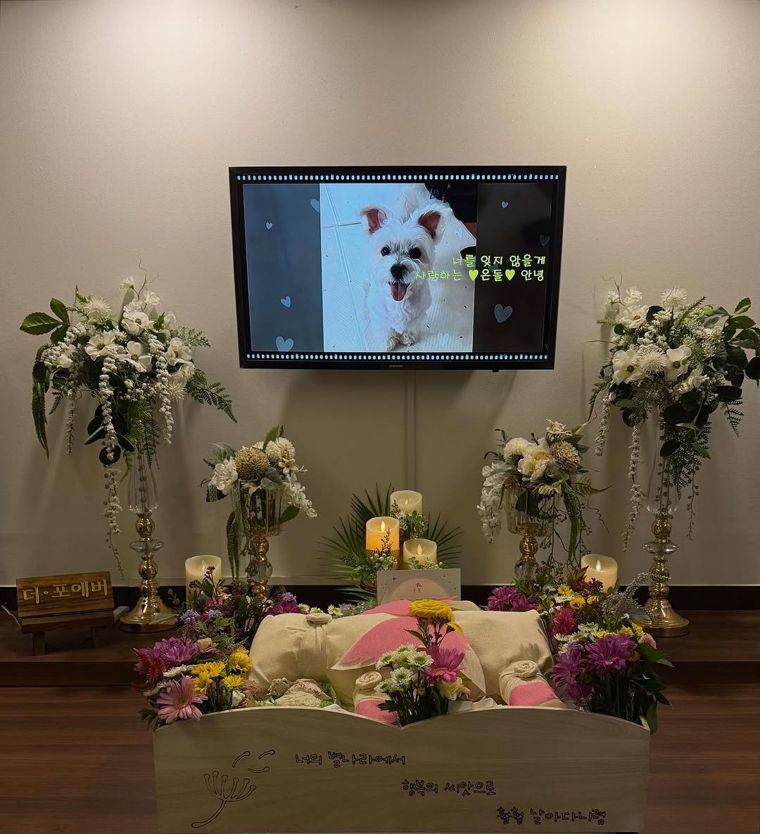 Photo shared by 크리스탈요가💎 이수정 on September 24, 2025 tagging @ondol_ee. May be an image of flower arrangement, baby's-breath and text.