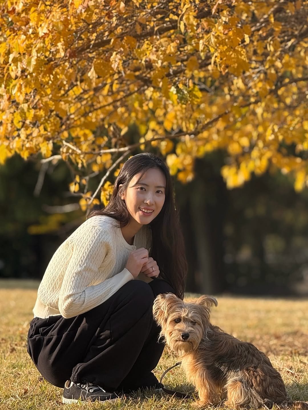 Photo shared by 크리스탈요가💎 이수정 on November 12, 2025 tagging @gold.dol. May be an image of Bedlington terrier, Norwich terrier, park and text.