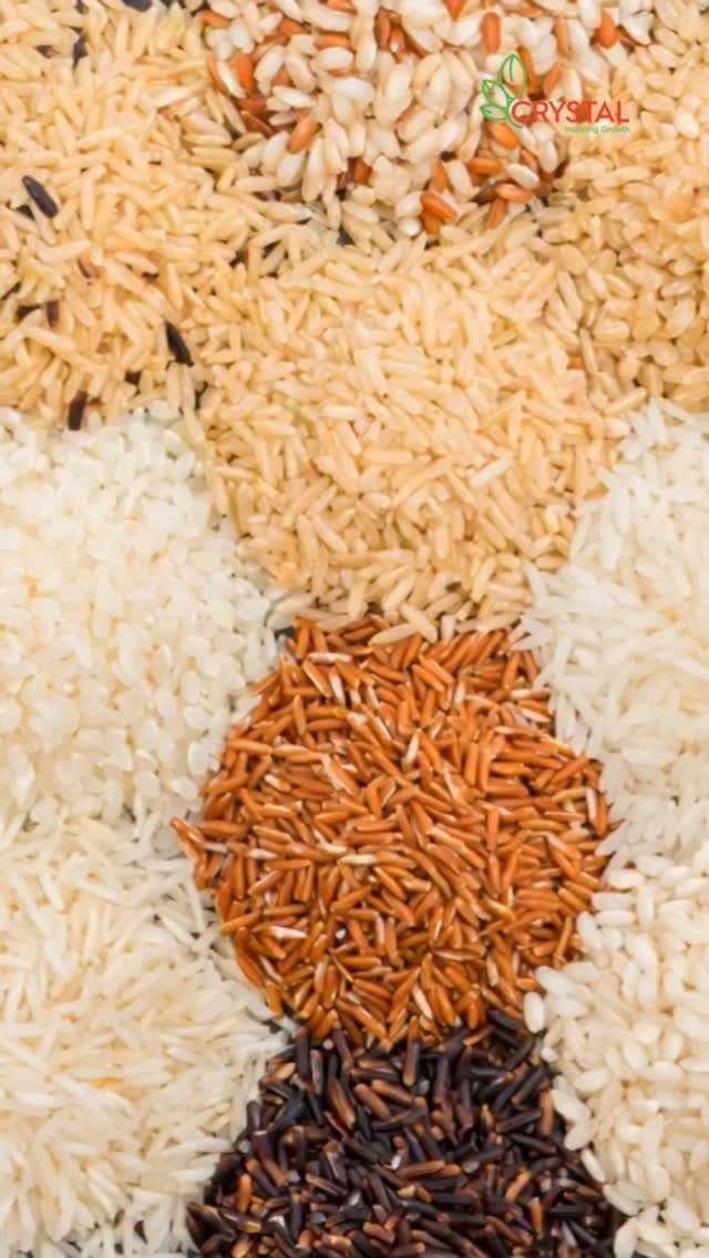 crystalcropprotection_ 게시물 이미지: पड़ोसियों की देखा-देखी नहीं, समझदारी से चुनें...