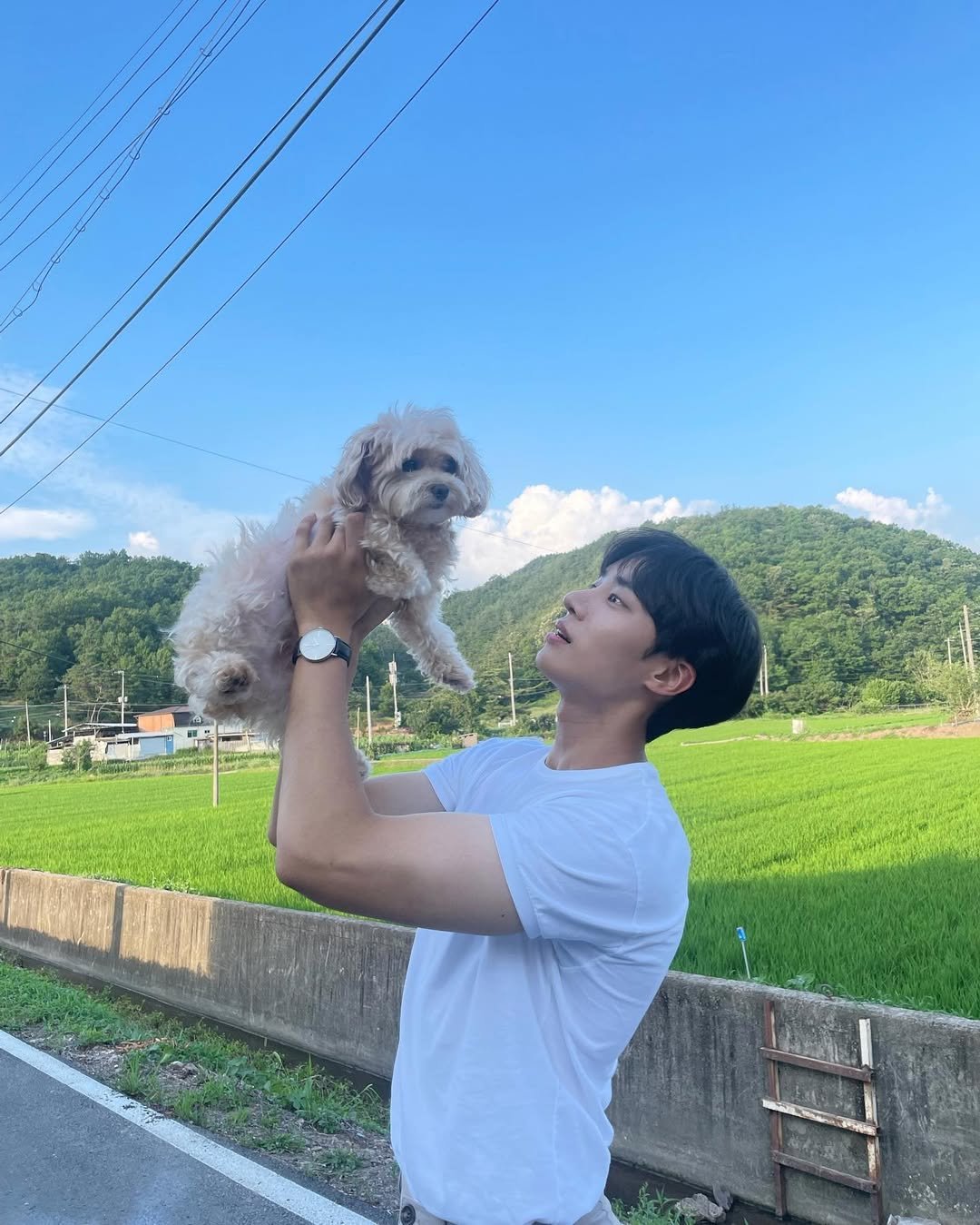 Photo by 추영우 on July 22, 2022.