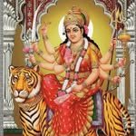 maa_durga_jyotish_kendra09 프로필 사진