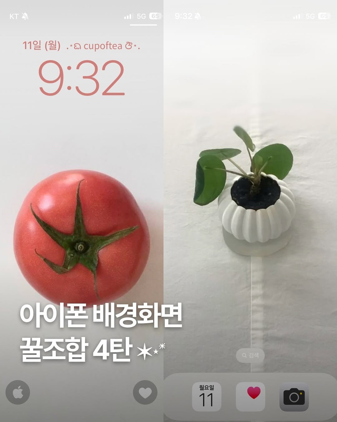 Photo shared by 컵오브티 매거진 on August 11, 2025 tagging @cupoftea_mag. May be an image of tomato, plant and text that says 'KTA l 5G 65 9:32粒 11일 11일(월) 11일(월)poea (월) *ದಿ cupoftea ឯ ද+. 9:32 al 65 아이폰 폰배경화면 꿀조합 4탄 a 검색 월요일 11'.