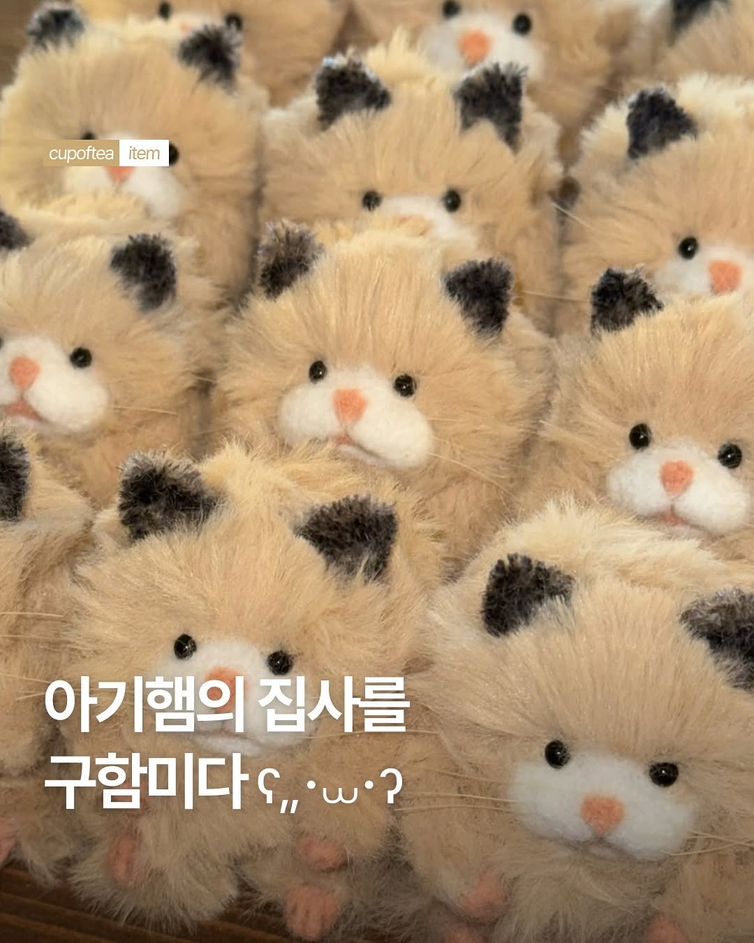 Photo shared by 컵오브티 매거진 on August 08, 2025 tagging @mong.dang, and @cupoftea_mag. May be an image of bear, rodent, toy and text.