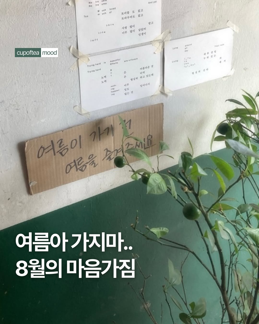 Photo shared by 컵오브티 매거진 on July 31, 2025 tagging @cupoftea_mag. May be an image of text that says 'losedi Aeй1 A01 트러클 없고 트카푸마도 없고 1+ 받고 H1+ 사랑 너무 말이 날았이 인생에 一・・十・4 cupoftea cupofteamo mood Teyiag frying rying That .witsons 아름다운 받는에 초억 영결비 다루 일어나게 专 알프 않는 ききまさ年 여름이 숨겨주세.요 여름을 여름아가지마.. 여름아 8월의 마음가짐'.