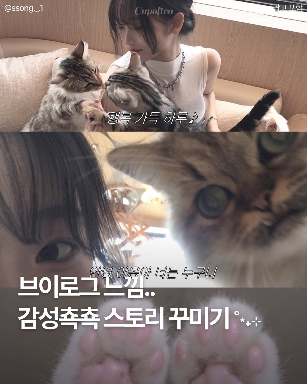 Photo shared by 컵오브티 매거진 on September 29, 2025 tagging @cupoftea_mag. May be an image of 1 person, cat, pie and text that says '@ssong._. _.1 광고 광고포함 포함 행복 행복가득하루리 가득 하루! 아스 브이로그그낌.. 안녕야옥야 아녕아우아너는누구니 아울아 너는 누구니 감성촉촉 감성촉촉스토리꾸미기 스토리 꾸미기'.