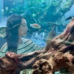 je.a_travel 프로필 사진