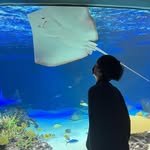 mj._.ming 프로필 사진