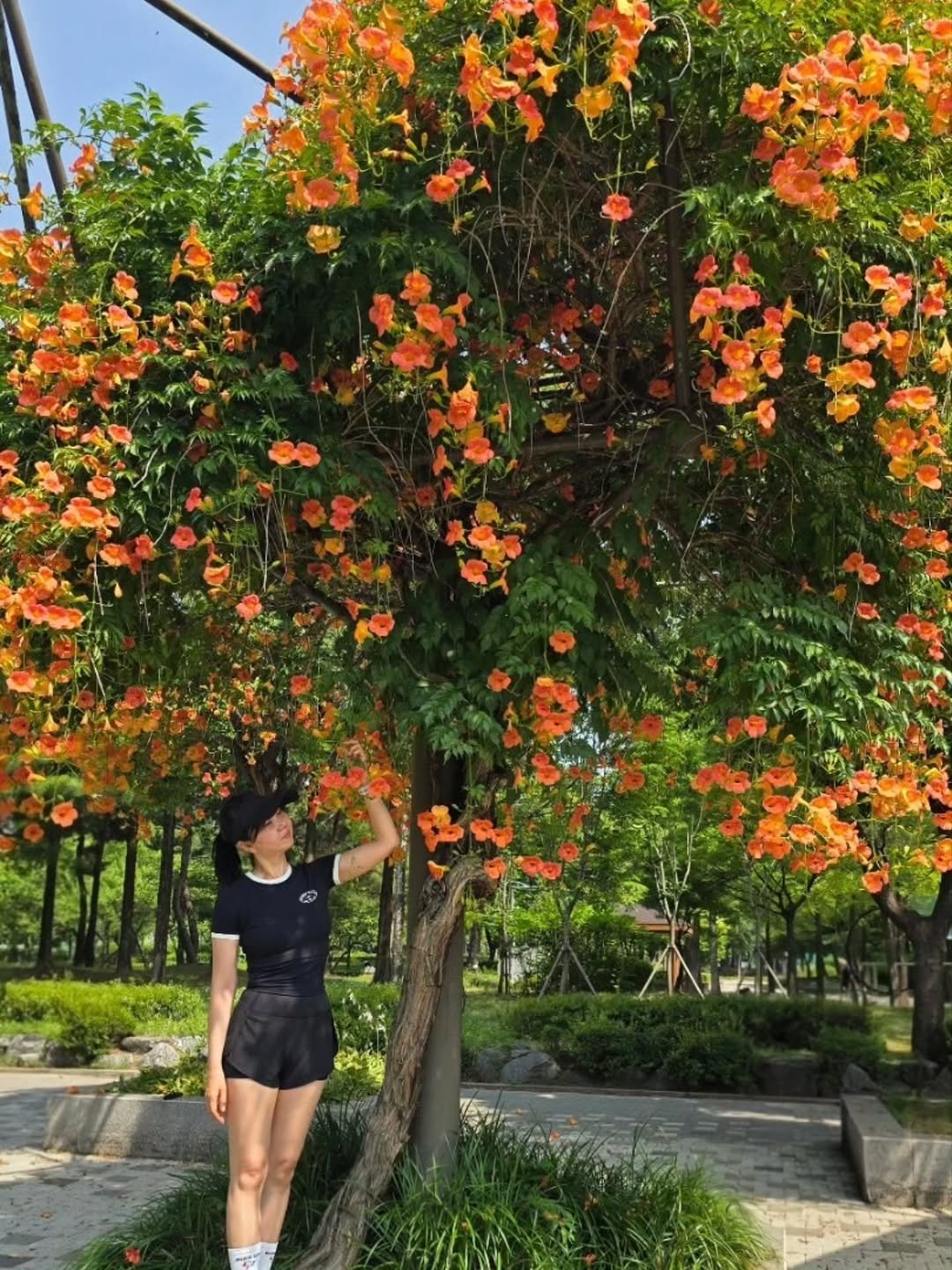 d7_yhpos 게시물 이미지: 🌺 러닝하다가 재발견 🔍

이른 6월, 성수 군락지에서 
유일하게 한 송이 피어...