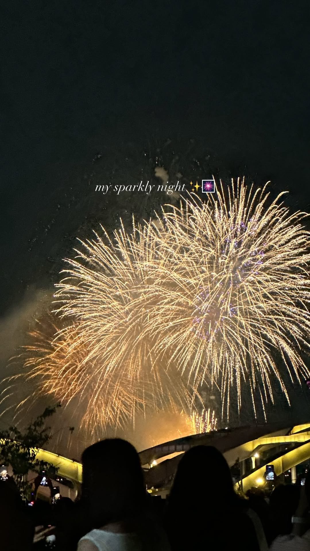 d_dyo 게시물 이미지: my sparkly night ✨🎆
