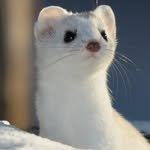 ha2roro 프로필 사진