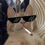 zmin__ovo 프로필 사진