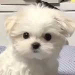 onuyxnx 프로필 사진