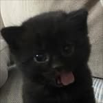 _joon__e 프로필 사진