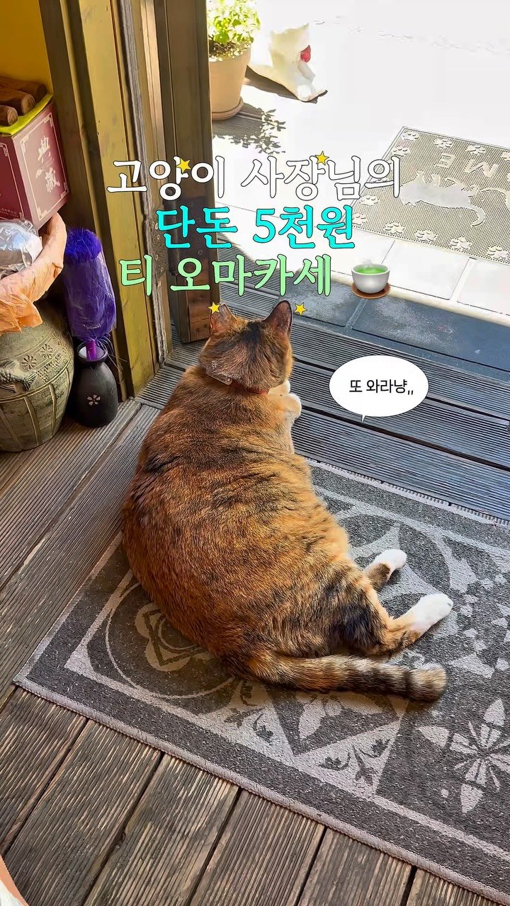 da_mukz 게시물 이미지: 저장,공유📌 나만 알고싶은,, 17년 세월의 낭만 가득한 티 오마카세...