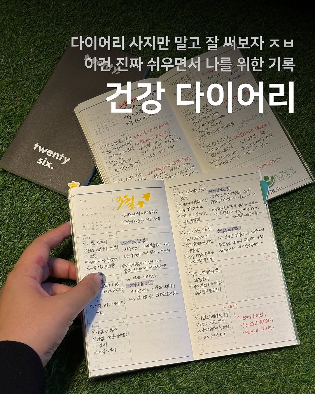 건강 기록 다이어리 오롤리데이 2026