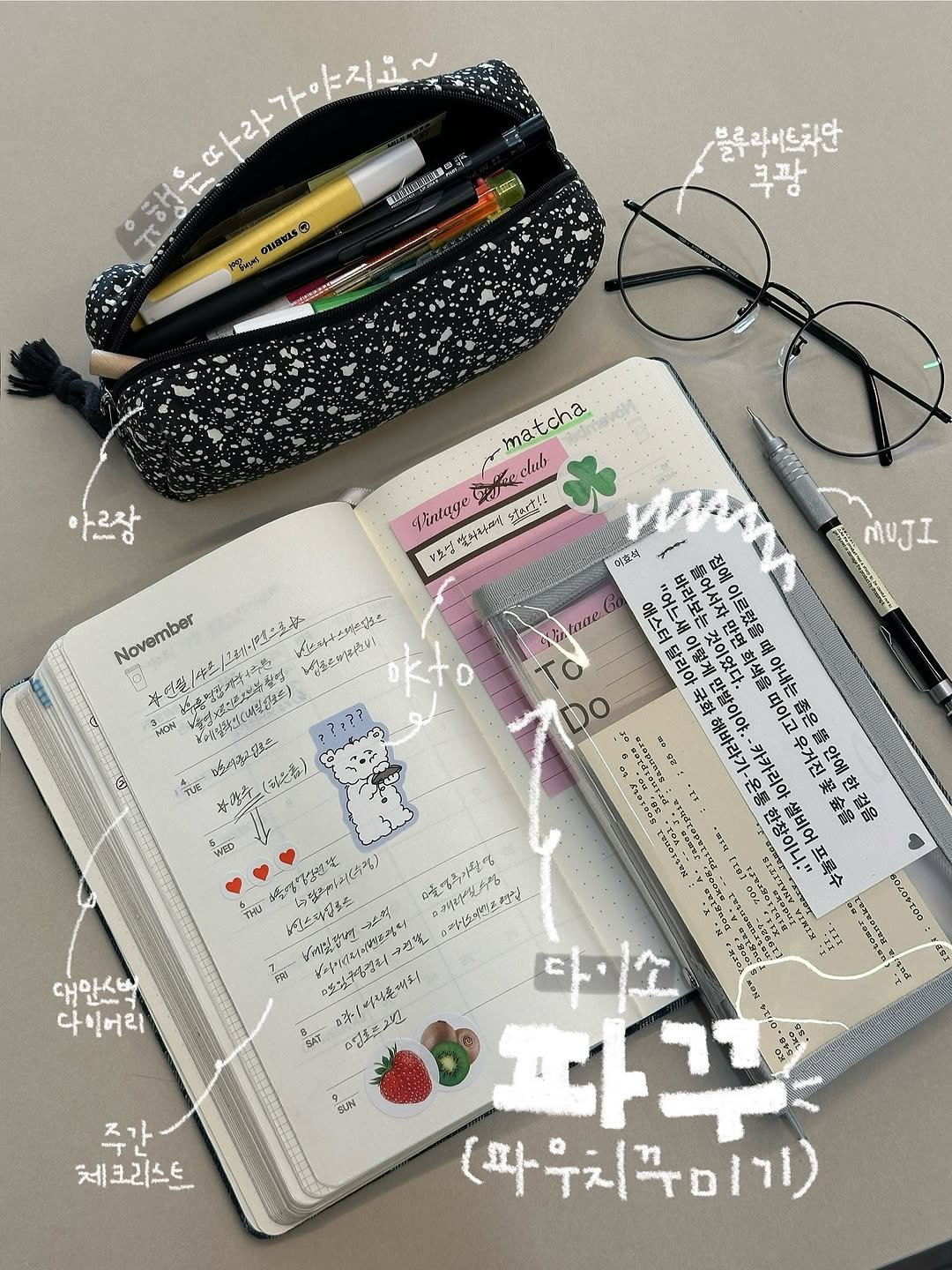 다이어리 필기구 파우치 케이스 다이소 추천템