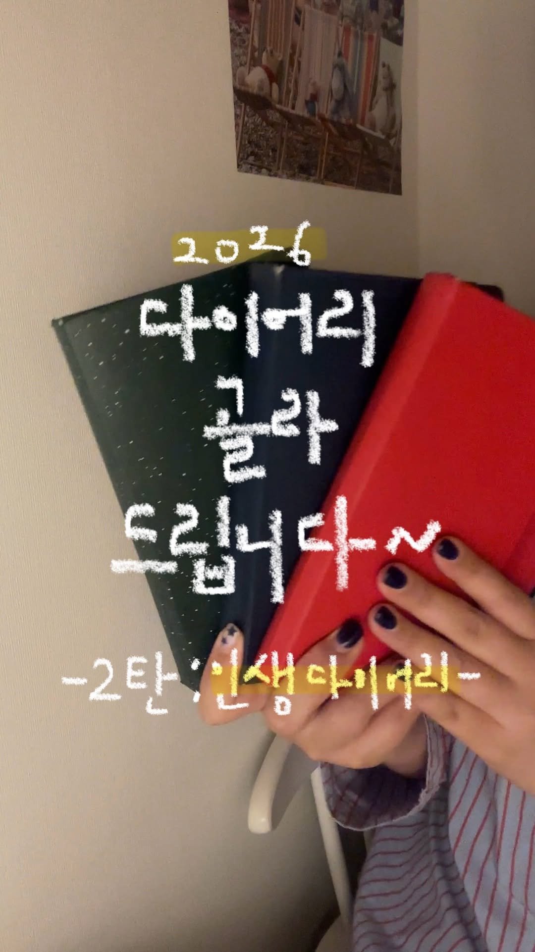 daaainary 게시물 이미지: 다골다 2탄📚 - 인생 다이어리‼️(저장필수)

다이어리 공유회에서 받은...