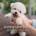 pet.house_busan 프로필 사진