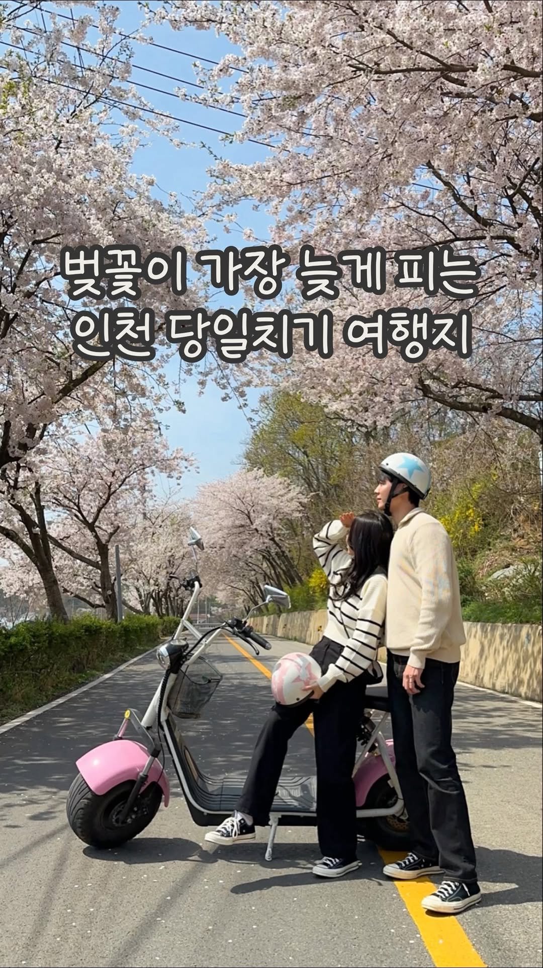 dabin_table 게시물 이미지: 저 어제 다녀온 곳 스토리 올렸더니.. 🤎
다들 벚꽃이 아직 펴있냐며...